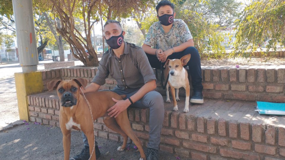 Mascotas