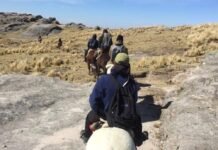 Voluntarios de La Cumbrecita cabalgaron 8 horas para vacunar Vacunar