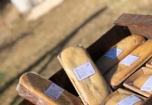 Jóvenes con discapacidad múltiple cocinarán budines para recaudar fondos Discapacidades Múltiples