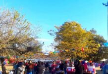 Este sábado, barrio San Martín celebrará la primavera con una gran fiesta