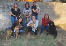 En B° Los Paraísos, funciona el Refugio “Milagros Perrunos” Milagros Perrunos