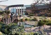 Las propuestas de primavera que no te podés perder en el Jardín Botánico Jardín Botánico