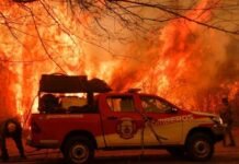Sumate a defender al monte cordobés: cómo colaborar con las zonas afectadas por los incendios Incendios
