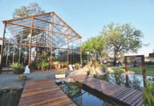 Mercado de Las Rosas: el nuevo pulmón verde de la zona norte Mercado de Las Rosas