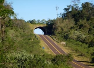 Ambientalistas piden construir un ecopuente en el camino de las Altas Cumbres Ecopuente