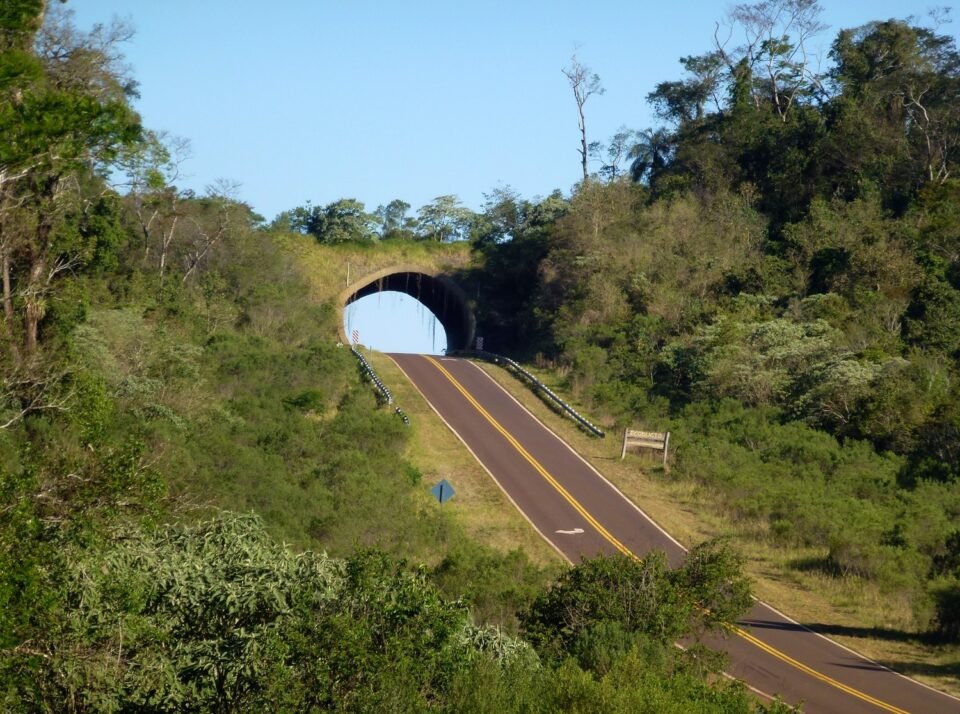 Ecopuente