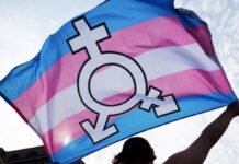 Vulnerabilidad social: en Córdoba solo el 9,5% de mujeres travestis y trans tienen cobertura de salud Trans