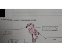 La Escuela Ejército de los Andes de B° San Martín participa de la Feria Provincial de Ciencia y Tecnología