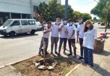 Alumnos del Lafitte ayudan a merenderos y abuelos, y reforestan el sector con árboles laffitte