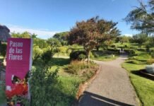 Este sábado harán una “caminata sensorial” en el Jardín Botánico Jardín Botánico