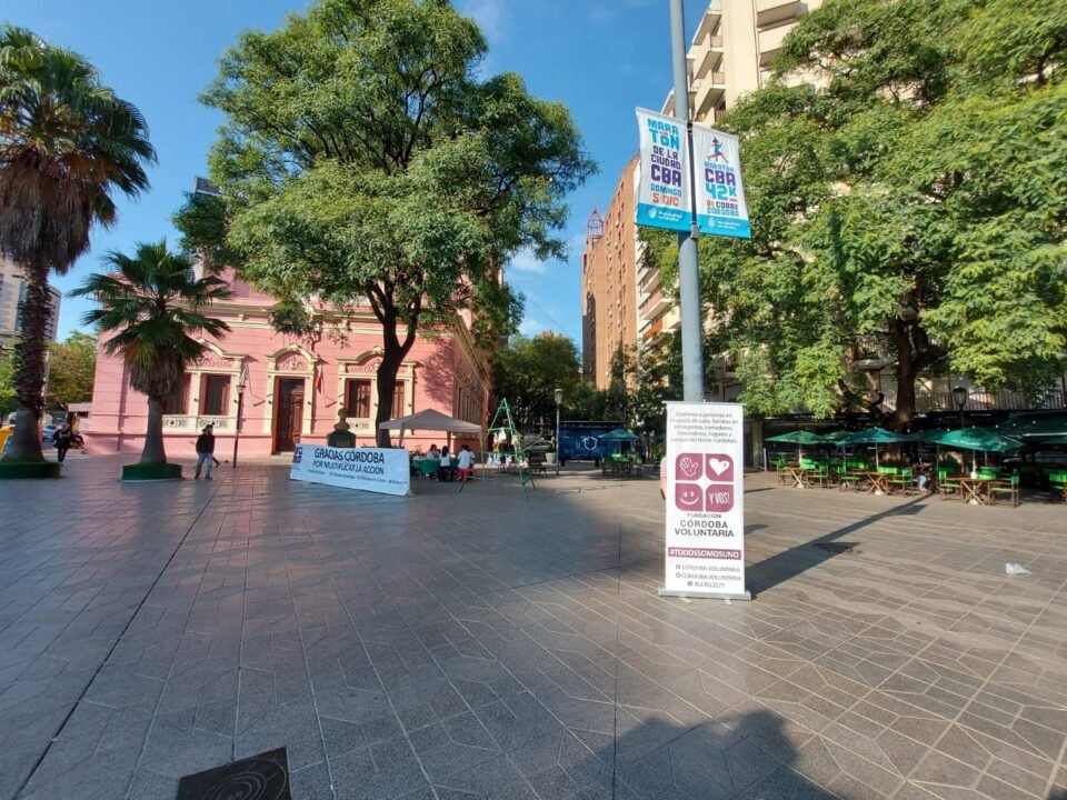 Ya está en marcha la sexta edición del Arbol Solidario de la Fundación Córdoba Voluntaria