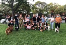 Gran Desfile Navideño de “peludos” en la Feria Alto Verde