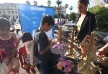 Este viernes, podes canjear tus reciclables por adornos navideños y arbolitos de navidad en la Plaza de la Intendencia