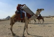 La increíble historia del mago cordobés que trabaja en un circo de Egipto