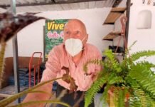 El fruto del trabajo: un abuelo cordobés logró agrandar su vivero con 82 años Vivero