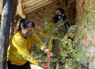 “Alianza por el Clima”: El proyecto que incentiva a plantar especies autóctonas Especies Autóctonas