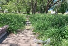 Piden la revalorización de un espacio verde de barrio Poeta Lugones Espacio Verde