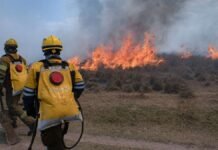 El Centro de Residentes Correntinos en Córdoba está recolectando donaciones para combatir los incendios