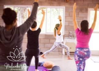 Nelumbo Yoga te espera en Barrio Nuevo Poeta Nelumbo