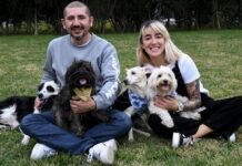 La pandemia incrementó el interés de tener una mascota en casa Mascota