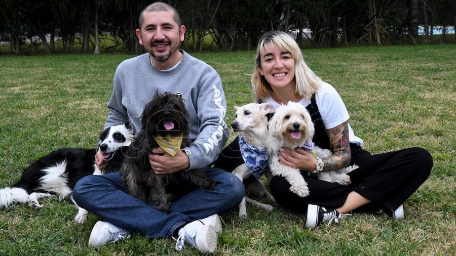 Mascota