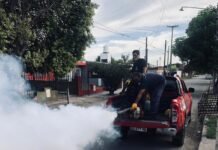 Prevención del dengue: la Municipalidad recorre la zona norte con operativos de fumigación
