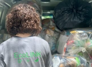 Residuos: 4.000 personas organizadas recuperaron más de 300.000 kilos en Córdoba Residuos