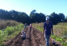 Este fin de semana llega la Minga Agroecológica del Movimiento de Agricultoras y Agricultores Urbanos