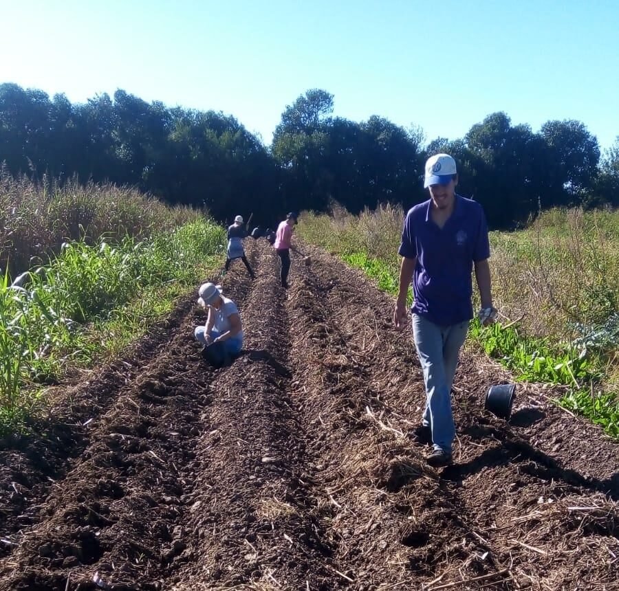 Este fin de semana llega la Minga Agroecológica del Movimiento de Agricultoras y Agricultores Urbanos