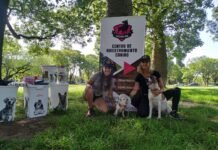 “EducanFest”: una gran Kermés Solidaria para celebrar el día del animal