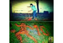 Otoño cordobés: Rafa Celiz formó la imagen de Maradona con hojas de árboles Rafa Celiz