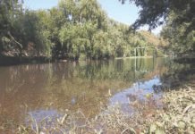 Laguna de contención de agua de B° Las Magnolias: Un reclamo de los vecinos Laguna de Contención