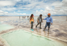 “La Ruta Natural”: El sitio web para promover viajes por Argentina La Ruta Natural