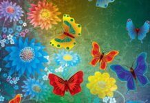 Invitá a tus chicos a dibujar o fotografiar mariposas para una sorprendente exposición de arte