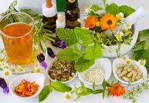 El poder curativo y los beneficios de las plantas medicinales Plantas Medicinales