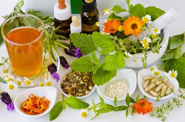 Plantas Medicinales