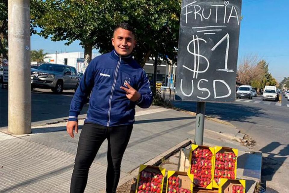 Dólar Frutilla