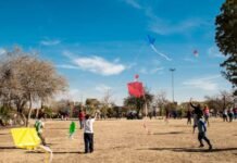 Festival de Barriletes en la Reserva Natural Urbana San Martín