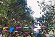 La Feria Paseo Núñez festeja sus 6 años de vida este sábado