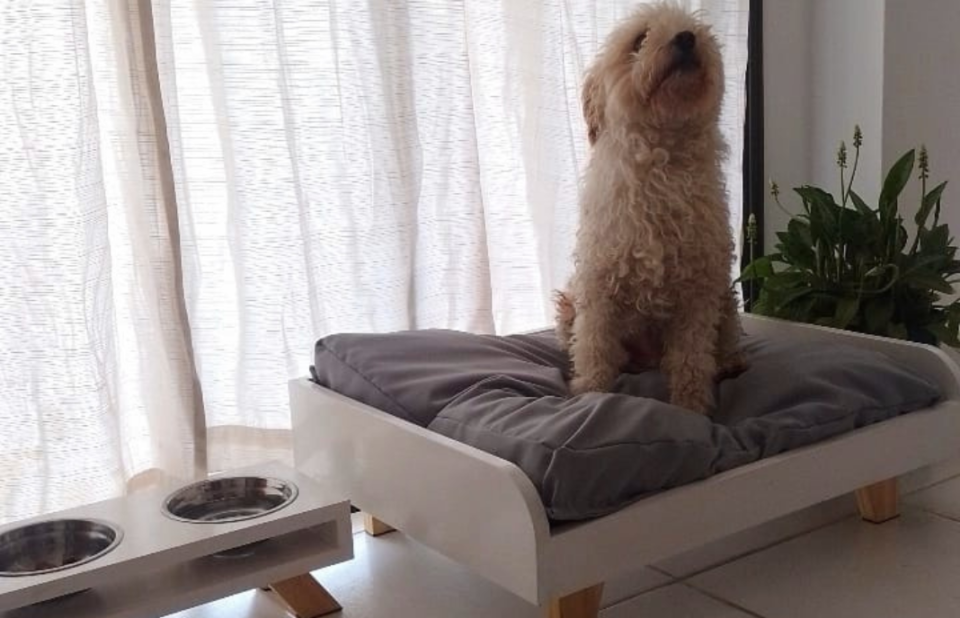 Loro Blanco