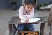 Vende limones para ayudar a su mamá: La historia de la niña de 7 años que conmueve a Córdoba Limones