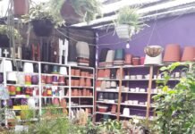 Ahora, “La Cebra Verde” de B° Nuevo Poeta es mucho más que un vivero Cebra Verde