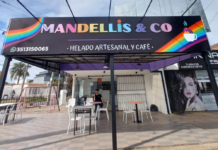 MANDELLIS & CO, sinónimo de helado 100% artesanal Mandellis & Co