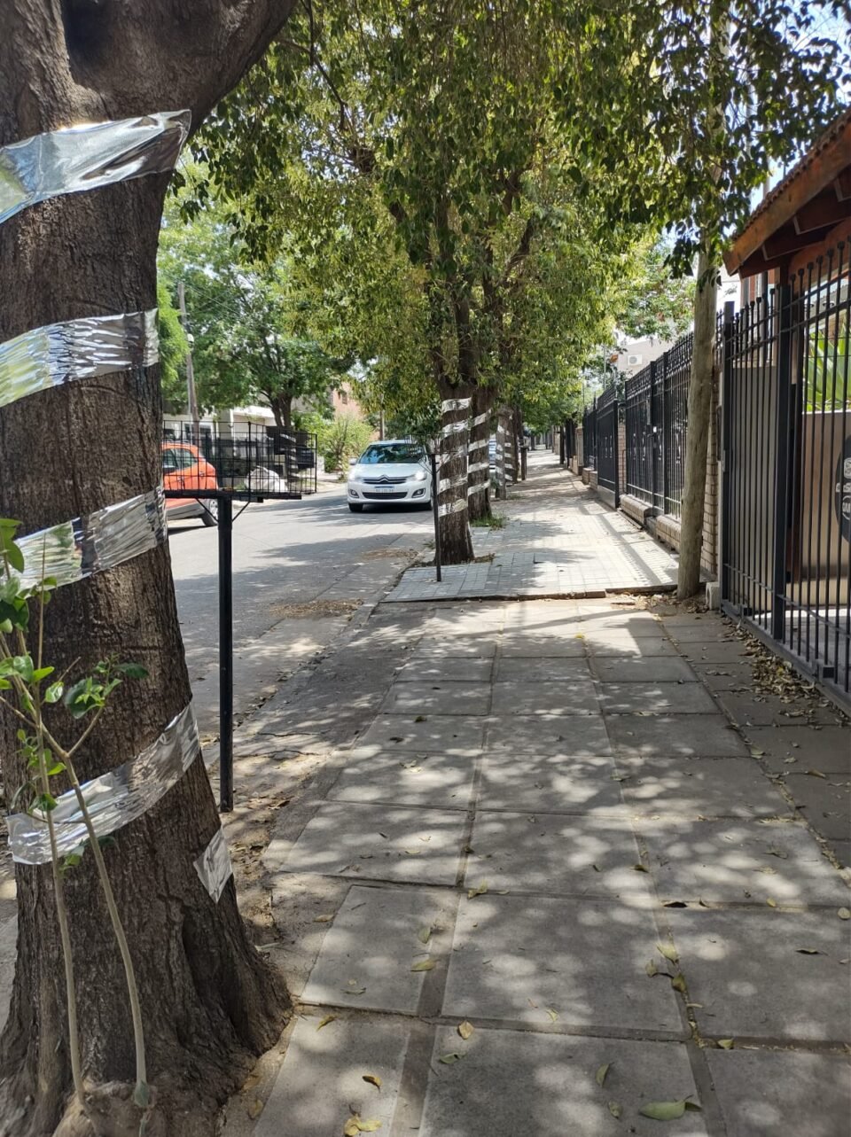 Un grupo de vecinos de B° Las Magnolias decoran las calles para recibir la Navidad