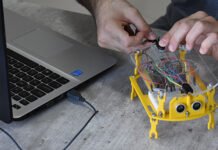 Cursos de Bots: una alternativa diferente y divertida para el verano Bots