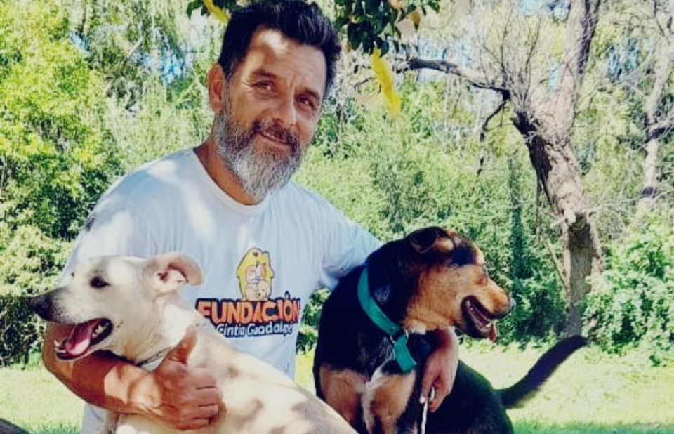 Perros