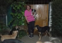 Vive en Villa Allende, rescata perros de la calle y les busca un hogar
