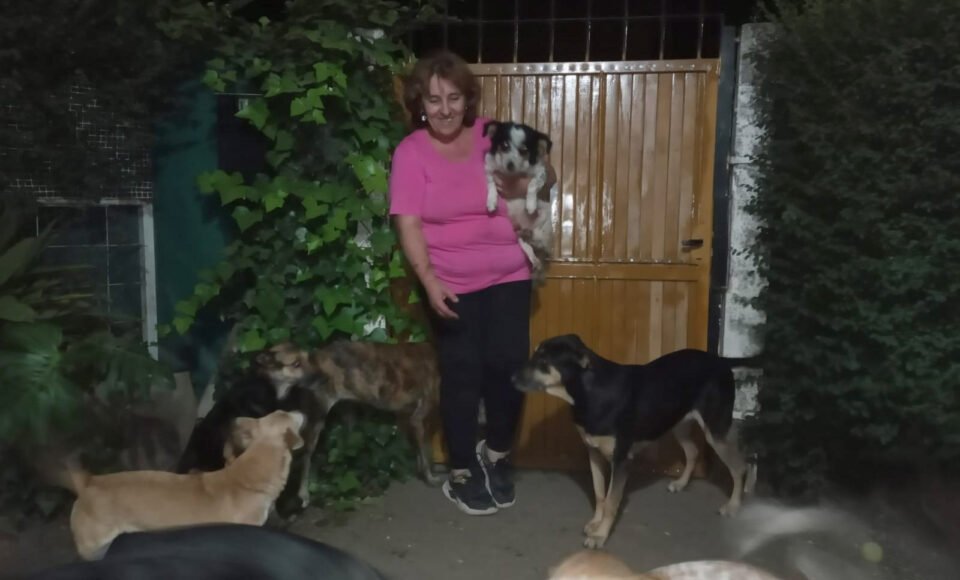 Vive en Villa Allende, rescata perros de la calle y les busca un hogar