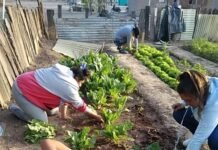 Se realizó una nueva edición del taller “¿Cómo hacer una huerta en casa?”