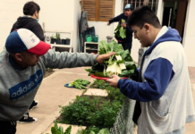 En Institución Sullai de B° Marqués, el Taller de Huerta da sus “frutos” Taller de Huerta